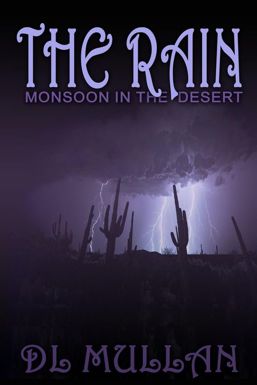 Produktbild: The Rain: Monsoon in the Desert