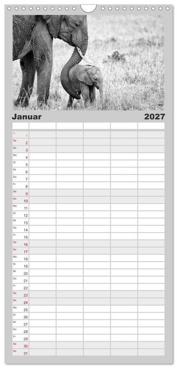 Produktbild: Familienplaner 2027 - Afrika Schwarz - Weiss mit 5 Spalten (Wandkalender, 21 x 45 cm) CALVENDO