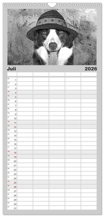 Produktbild: Familienplaner 2026 - H&uuml;tehunde mit 5 Spalten (Wandkalender, 21 x 45 cm) CALVENDO
