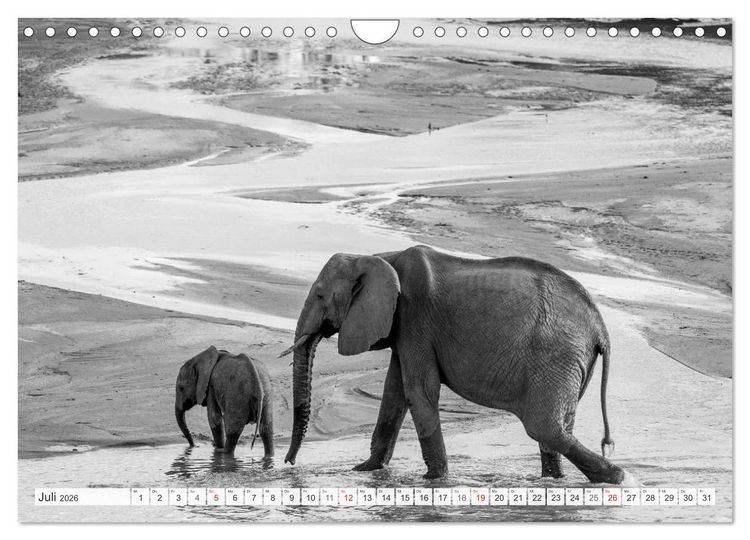 Produktbild: Emotionale Momente: Elefanten in black & white (Wandkalender 2026 DIN A4 quer), CALVENDO Monatskalender