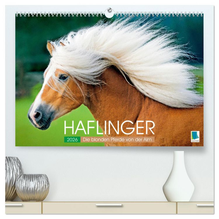 Produktbild: Haflinger: Die blonden Pferde von der Alm (hochwertiger Premium Wandkalender 2026 DIN A2 quer), Kunstdruck in Hochglanz