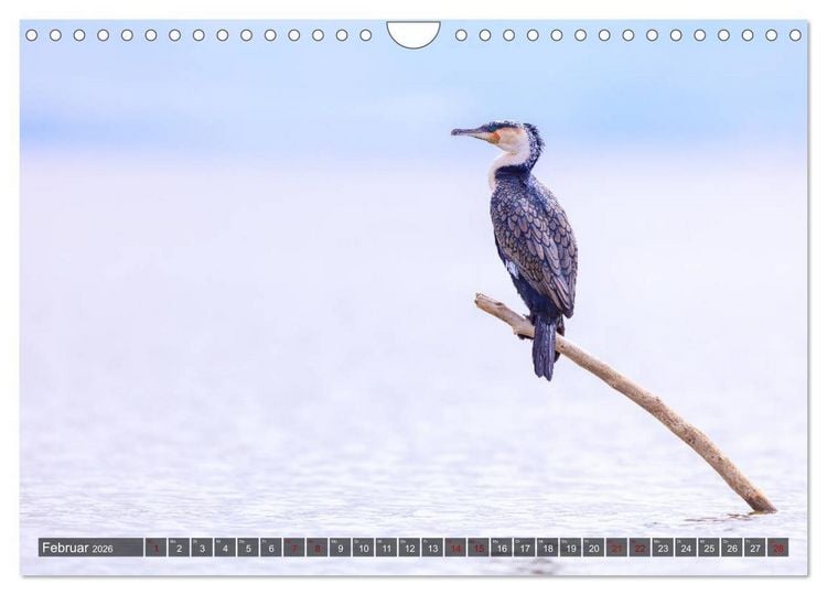 Produktbild: Auf Safari in Kenia 2026 (Wandkalender 2026 DIN A4 quer), CALVENDO Monatskalender