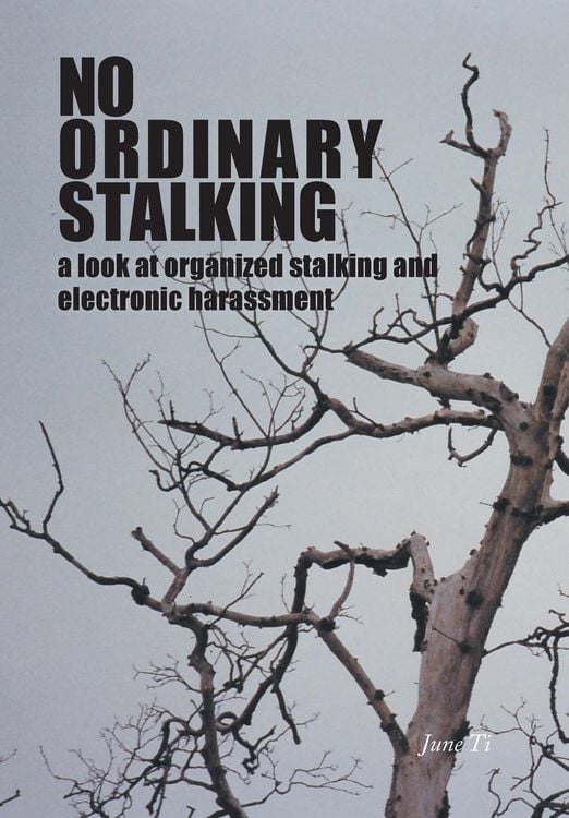 Produktbild: No Ordinary Stalking: a look at organized stalking and electronic harassment