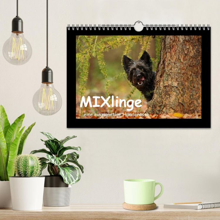 Produktbild: MIXlinge (Wandkalender 2026 DIN A4 quer), CALVENDO Monatskalender