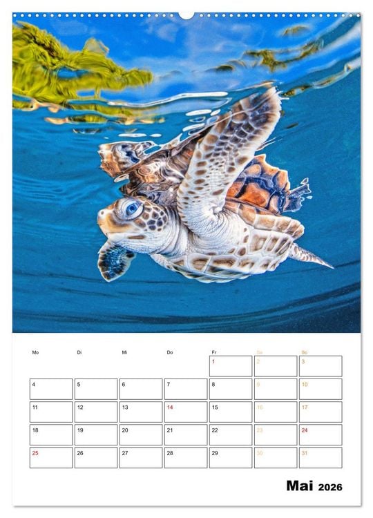 Produktbild: Wunderbare Wasserwelt der Meeresschildkr&ouml;ten (hochwertiger Premium Wandkalender 2026 DIN A2 hoch), Kunstdruck in Hochglanz