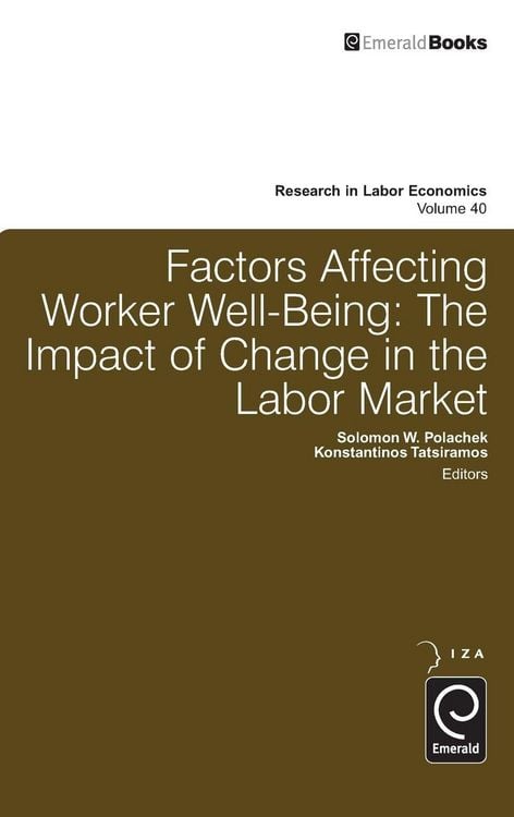 Produktbild: Factors Affecting Worker Well-Being