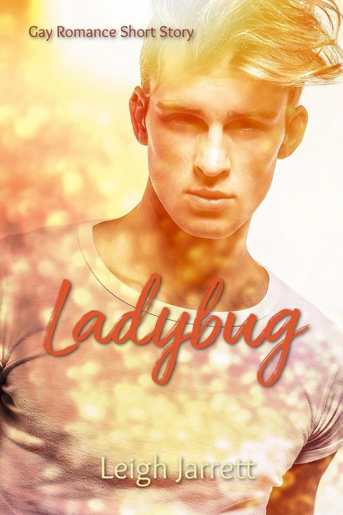 Produktbild: Ladybug: Gay Romance Short Story