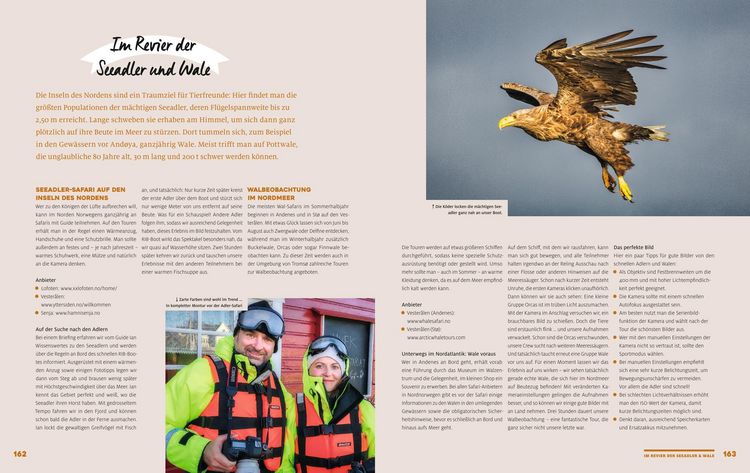 Produktbild: Yes we camp! 4- Jahreszeiten-Camping in Skandinavien