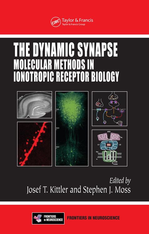 Produktbild: The Dynamic Synapse