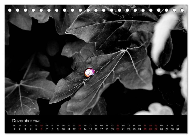 Produktbild: Farbtupfer (Tischkalender 2026 DIN A5 quer), CALVENDO Monatskalender