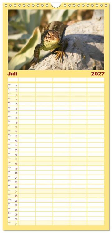 Produktbild: Familienplaner 2027 - Minisaurier im Garten mit 5 Spalten (Wandkalender, 21 x 45 cm) CALVENDO
