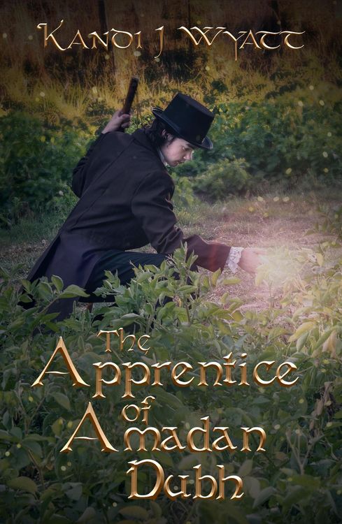 Produktbild: The Apprentice of Amadan Dubh
