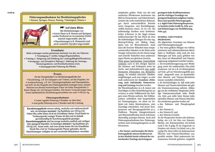 Produktbild: Pferdehaltung und -f&uuml;tterung