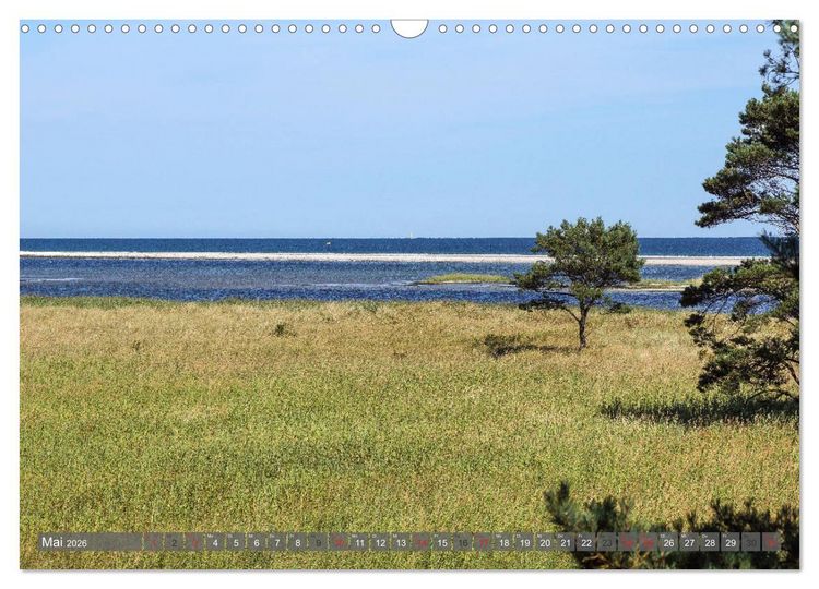 Produktbild: Fischland Dar&szlig; Zingst - wie gemalt (Wandkalender 2026 DIN A3 quer), CALVENDO Monatskalender