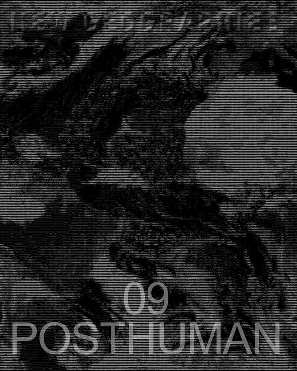 Produktbild: New Geographies 09
