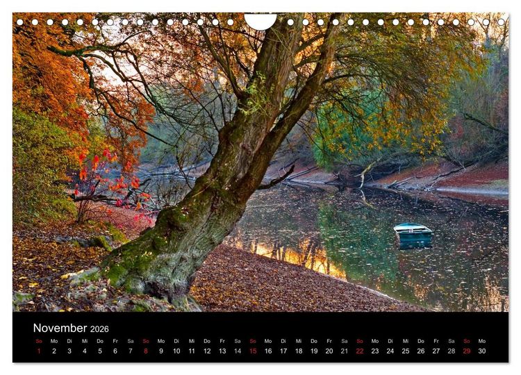 Produktbild: Mannheimer Waldpark (Wandkalender 2026 DIN A4 quer), CALVENDO Monatskalender