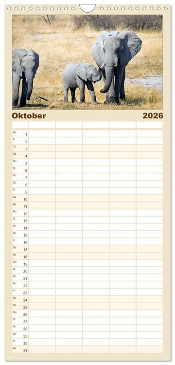 Produktbild: Familienplaner 2026 - begegnungen - elefanten im s&uuml;dlichen afrika mit 5 Spalten (Wandkalender, 21 x 45 cm) CALVENDO