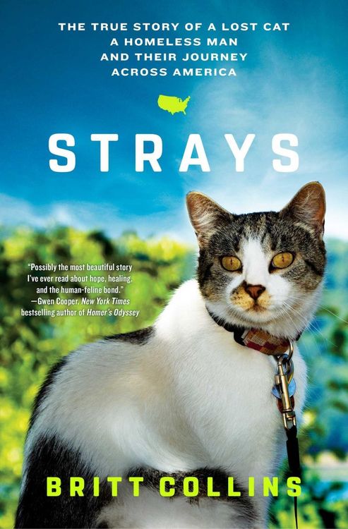 Produktbild: Strays