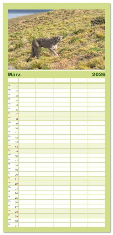 Produktbild: Familienplaner 2026 - Wildlife S&uuml;damerika mit 5 Spalten (Wandkalender, 21 x 45 cm) CALVENDO