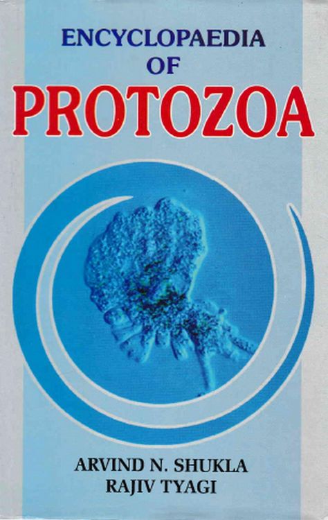 Produktbild: Encyclopaedia of Protozoa (How To Know Protozoa)