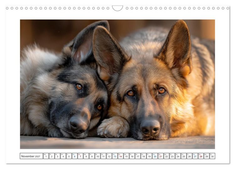 Produktbild: Treue, die bleibt. Emotionale Augenblicke mit Sch&auml;ferhunden. (Wandkalender 2027 DIN A3 quer), CALVENDO Monatskalender