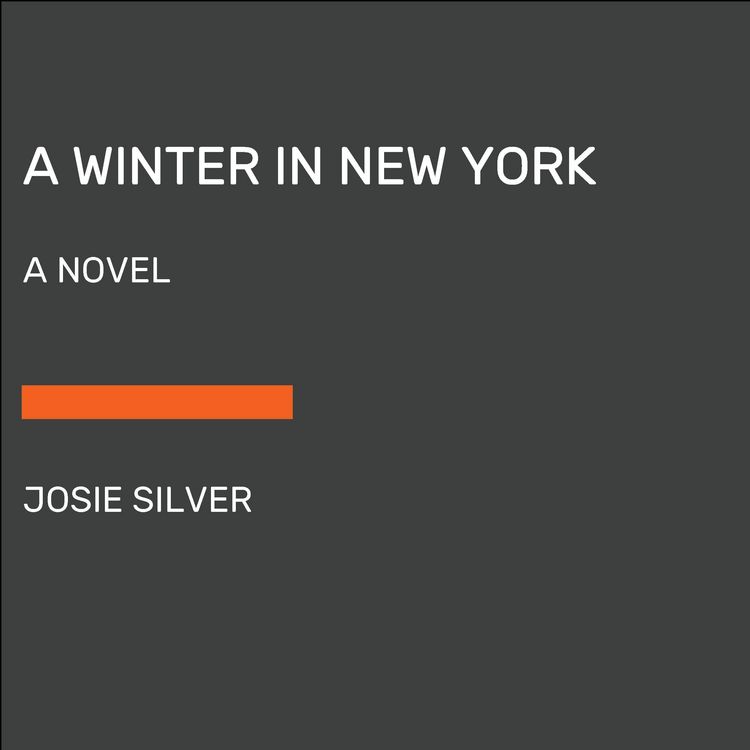 Produktbild: A Winter in New York
