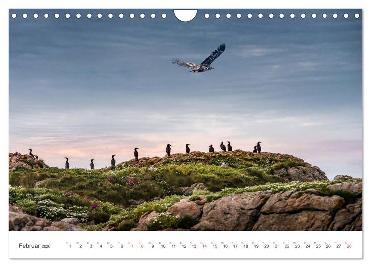 Produktbild: Nordland &ndash; Die Weite Skandinaviens (Wandkalender 2026 DIN A4 quer), CALVENDO Monatskalender