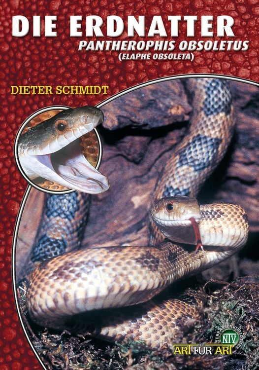 Produktbild: Die Erdnatter