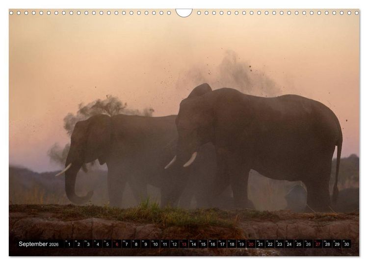 Produktbild: Magie des Augenblicks - Elefanten - Afrikas sanfte Riesen (Wandkalender 2026 DIN A3 quer), CALVENDO Monatskalender
