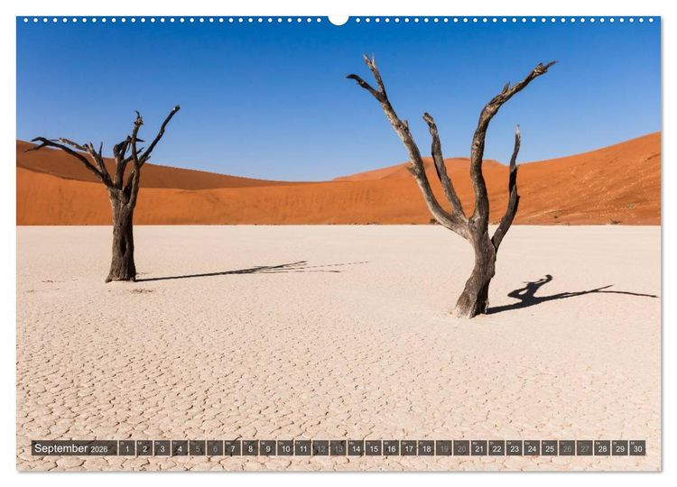 Produktbild: Wildes Namibia (Wandkalender 2026 DIN A2 quer), CALVENDO Monatskalender
