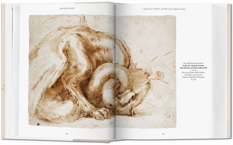 Produktbild: Michel-Ange. L'œuvre graphique