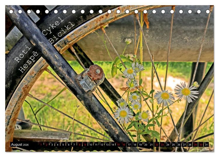 Produktbild: Weltfahrrad (Tischkalender 2026 DIN A5 quer), CALVENDO Monatskalender