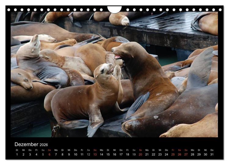 Produktbild: USA - Nordwesten (Wandkalender 2026 DIN A4 quer), CALVENDO Monatskalender