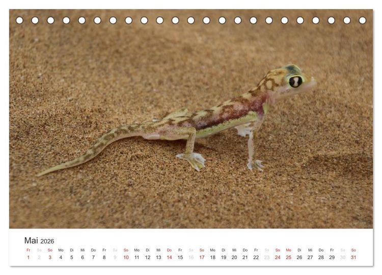 Produktbild: Namibia - Tierische Vielfalt (Tischkalender 2026 DIN A5 quer), CALVENDO Monatskalender