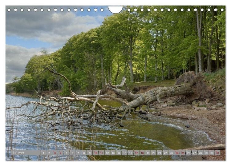 Produktbild: Am sch&ouml;nsten Uferabschnitt der Schlei (Wandkalender 2027 DIN A4 quer), CALVENDO Monatskalender