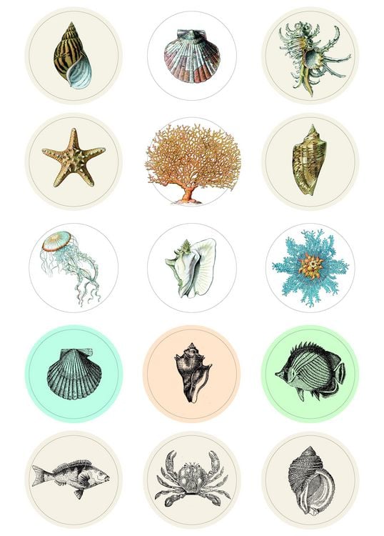 Produktbild: Natural History