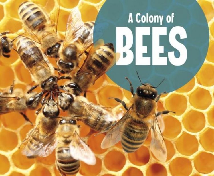 Produktbild: Raatma, L: Colony of Bees