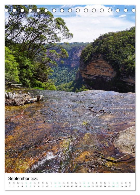 Produktbild: Regenwald - Australien (Tischkalender 2026 DIN A5 hoch), CALVENDO Monatskalender