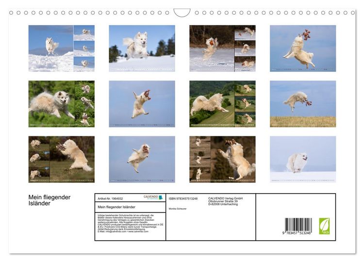 Produktbild: Mein fliegender Isl&auml;nder (Wandkalender 2026 DIN A3 quer), CALVENDO Monatskalender