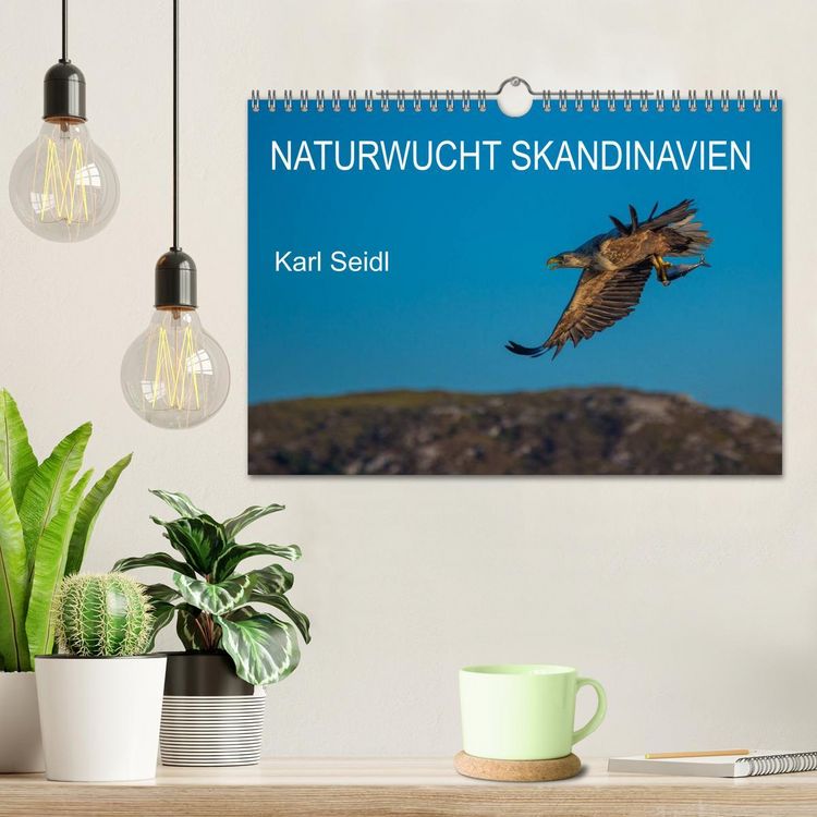 Produktbild: Naturwucht Skandinavien (Wandkalender 2026 DIN A4 quer), CALVENDO Monatskalender