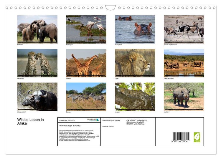 Produktbild: Wildes Leben in Afrika (Wandkalender 2026 DIN A3 quer), CALVENDO Monatskalender