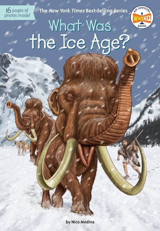 Produktbild: What Was the Ice Age?