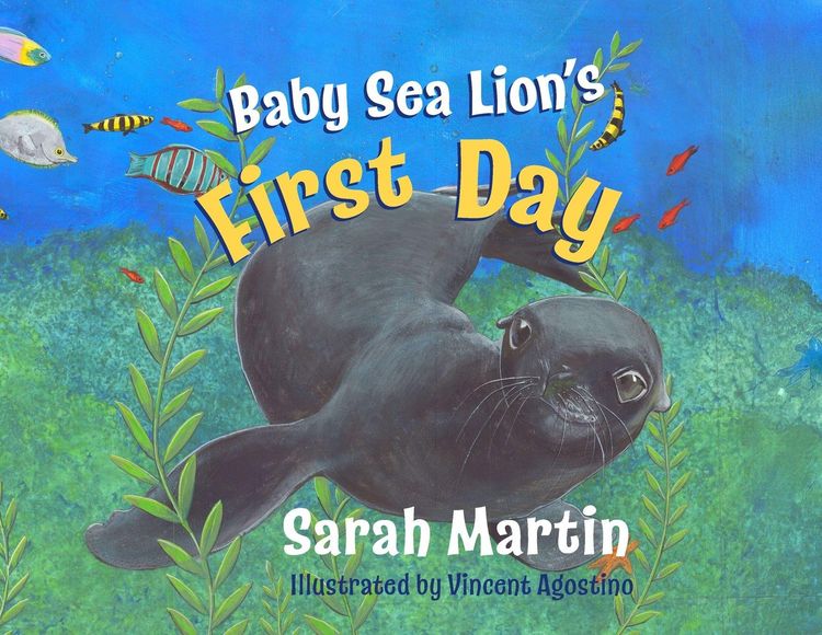 Produktbild: Baby Sealion's First Day