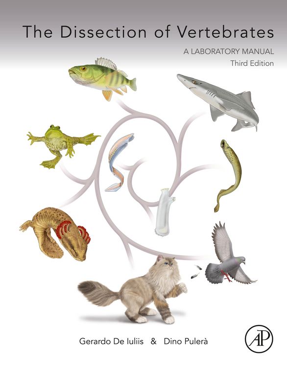 Produktbild: The Dissection of Vertebrates