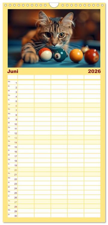 Produktbild: Familienplaner 2026 - Tierische Balljunkies mit 5 Spalten (Wandkalender, 21 x 45 cm) CALVENDO