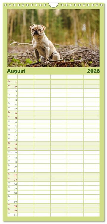 Produktbild: Familienplaner 2026 - M&ouml;pse mit 5 Spalten (Wandkalender, 21 x 45 cm) CALVENDO