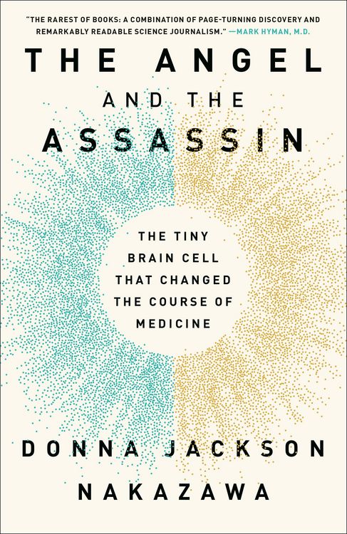 Produktbild: The Angel and the Assassin