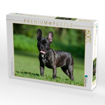 Produktbild: CALVENDO Puzzle Franz&ouml;sische Bulldogge Welpe auf der Wiese | 1000 Teile Lege-Gr&ouml;&szlig;e 64x48cm Foto-Puzzle f&uuml;r gl&uuml;ckliche Stunden