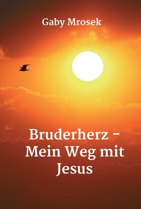 Produktbild: Bruderherz - Mein Weg mit Jesus