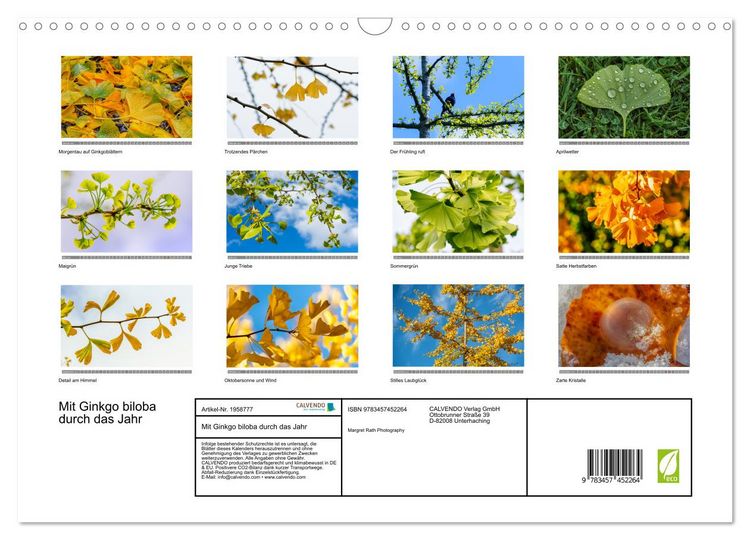 Produktbild: Mit Ginkgo biloba durch das Jahr (Wandkalender 2026 DIN A3 quer), CALVENDO Monatskalender